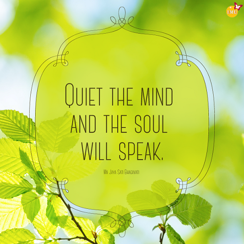 Quiet the mind and the soul will speak